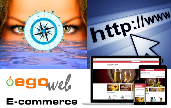 EgoWeb E-commerce